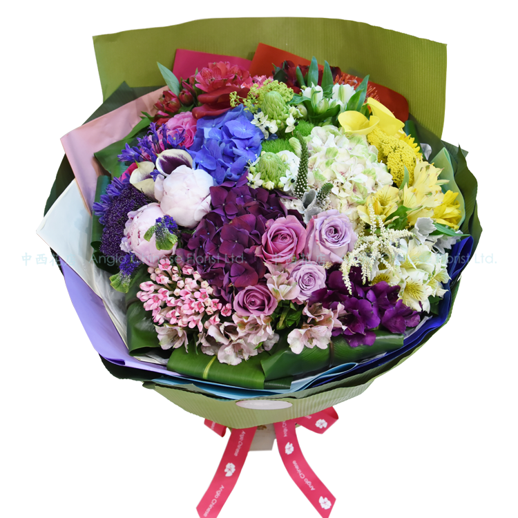 Rainbow FB1701