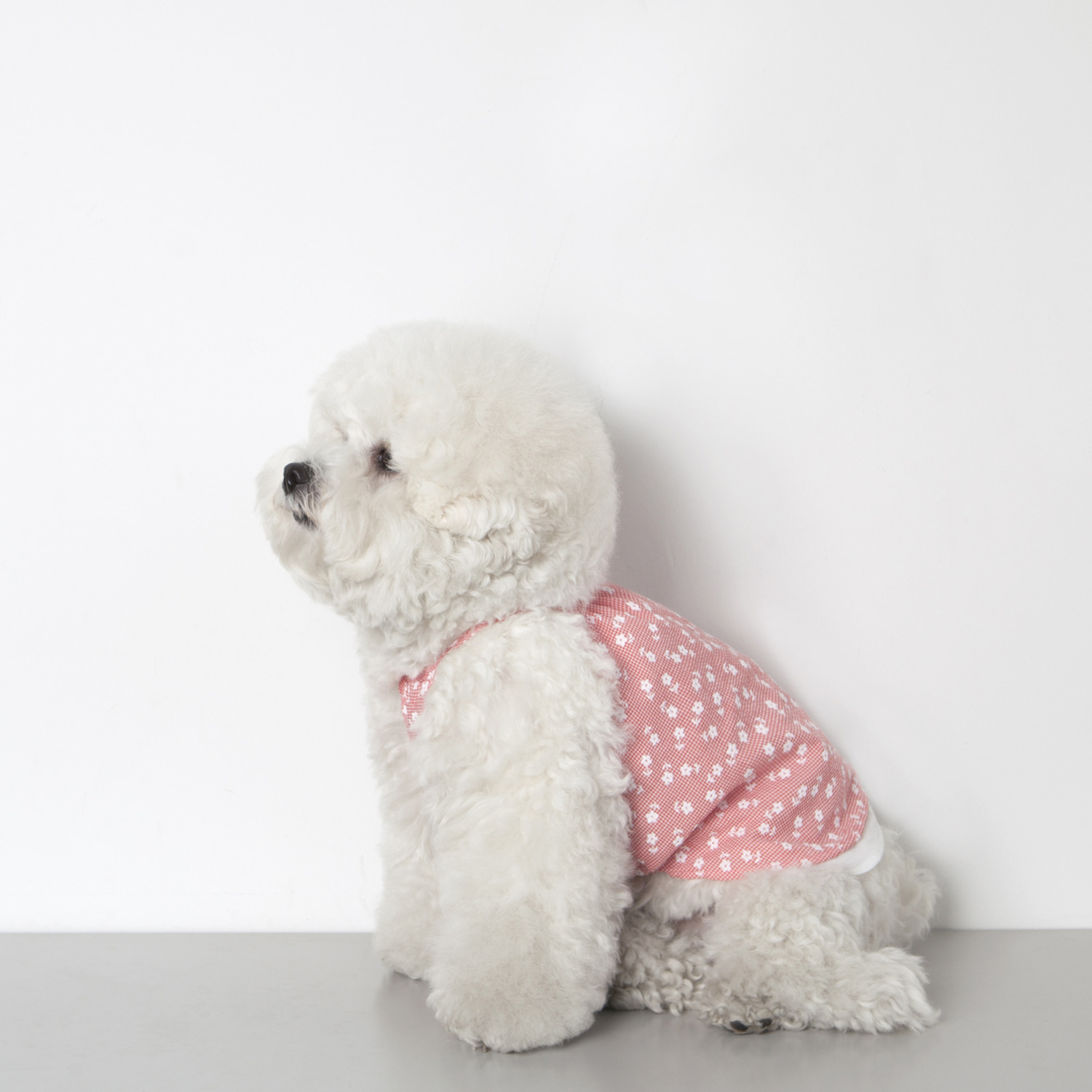 ★Dentist Appointment★ 格紋小花細肩帶背心 (紅)