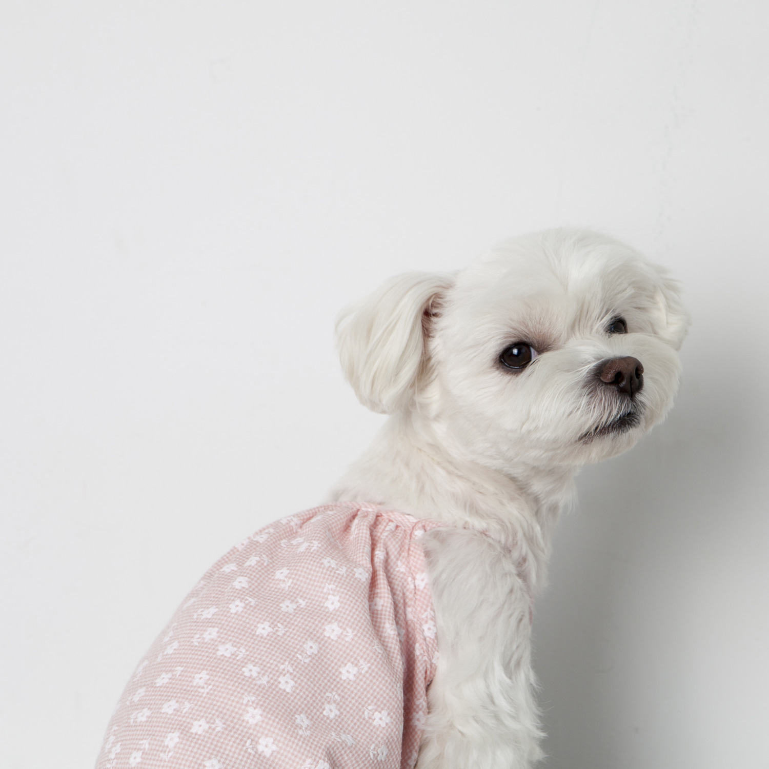 ★Dentist Appointment★ 格紋小花細肩帶背心 (粉紅)