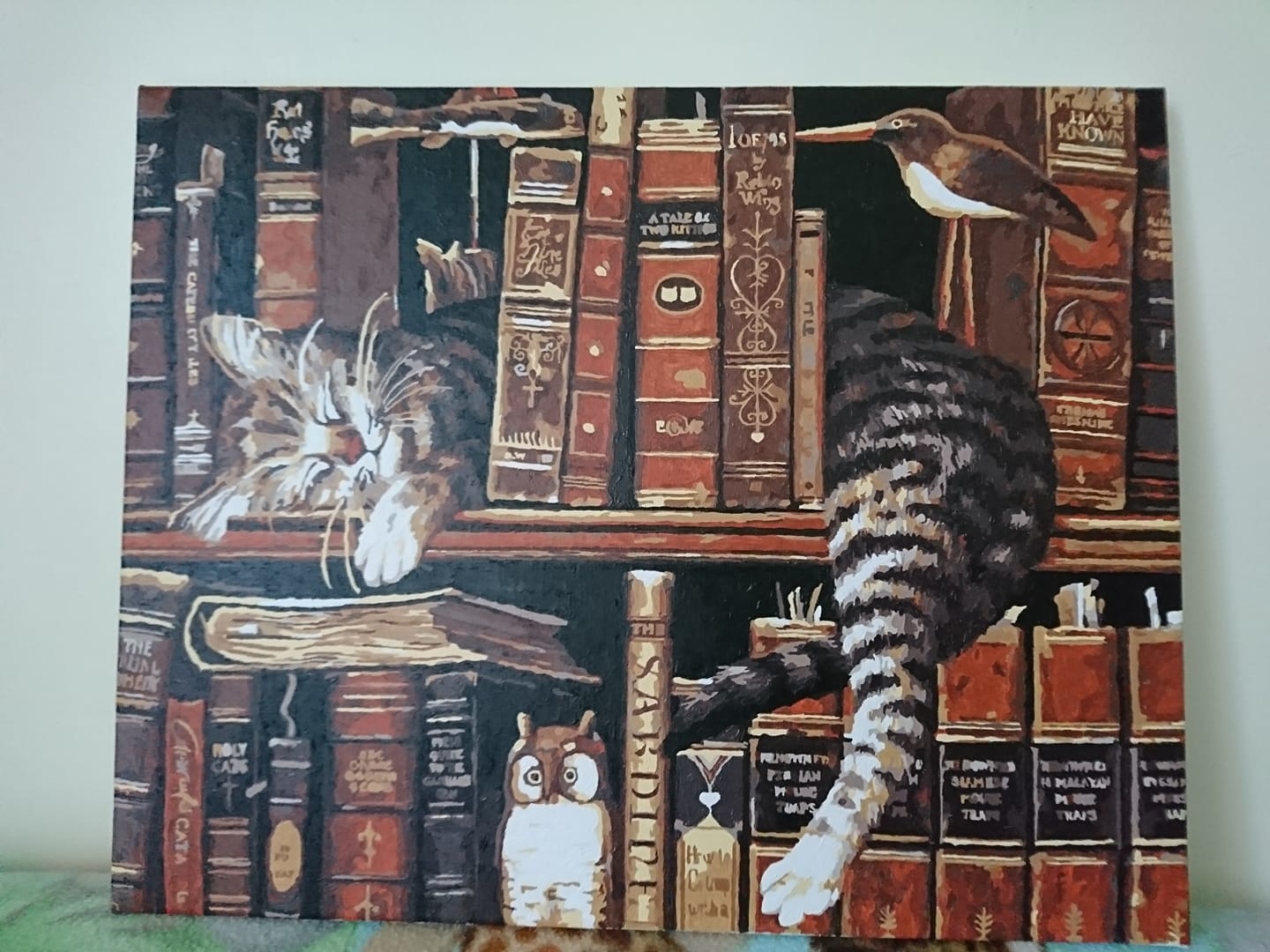 【89557】書架上的貓