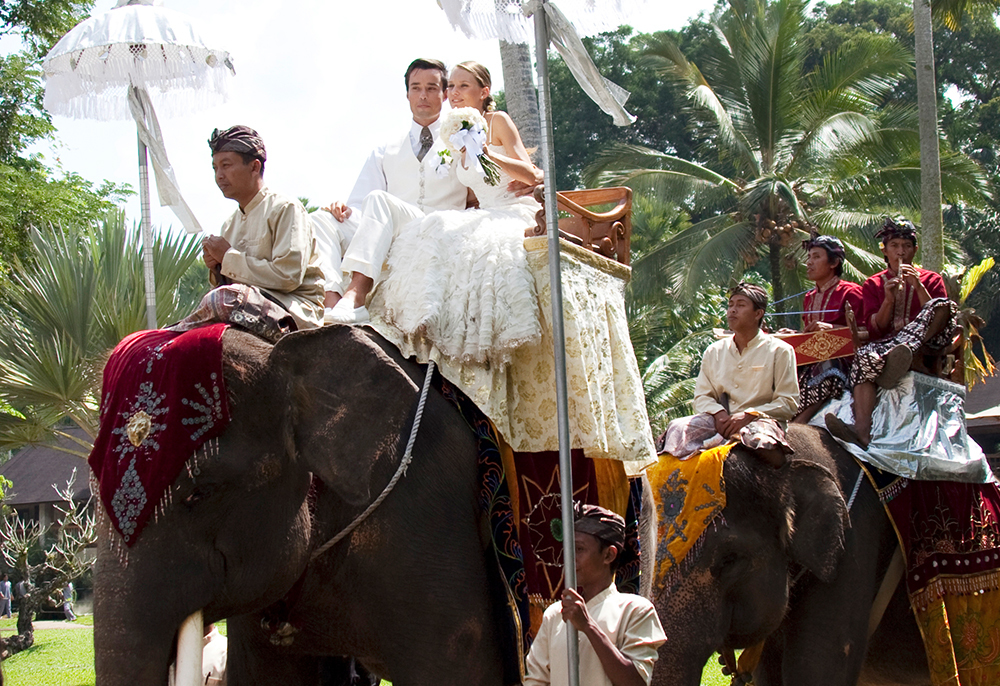 沐樂旅遊,沐樂,mullertravel,大象公園婚禮