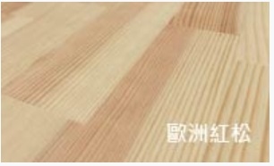 歐洲紅松
