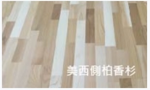 美西側柏 香杉 側柏