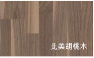 胡桃木 北美胡桃木