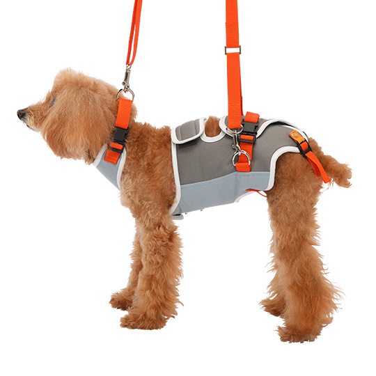 LaLaWalk 中小型犬步行輔助帶 (橘灰)
