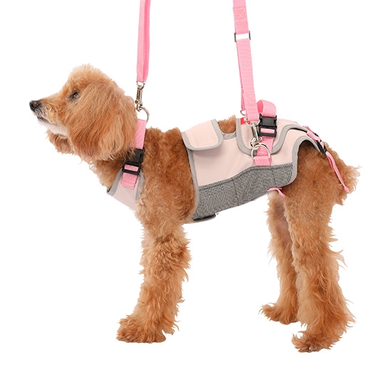 LaLaWalk 中小型犬步行輔助帶 (灰粉紅)