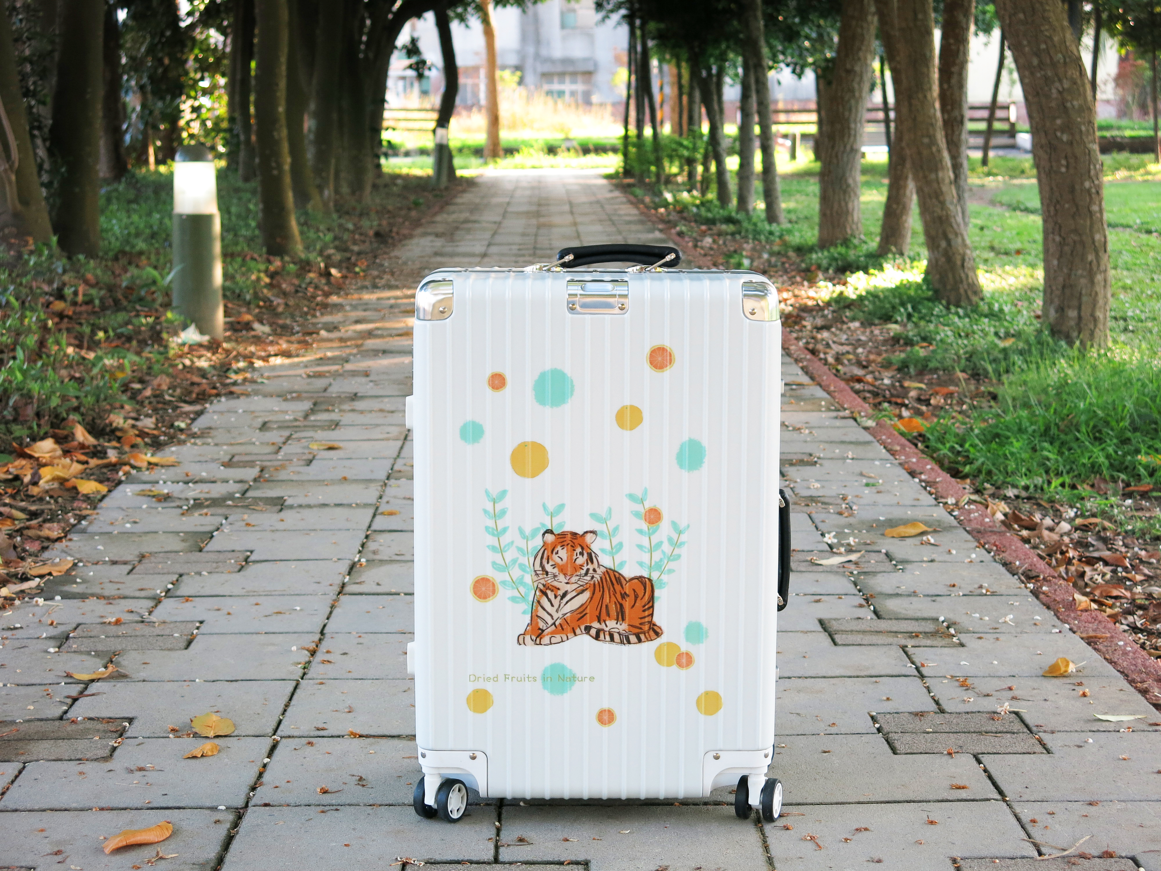 柑橘虎行李箱