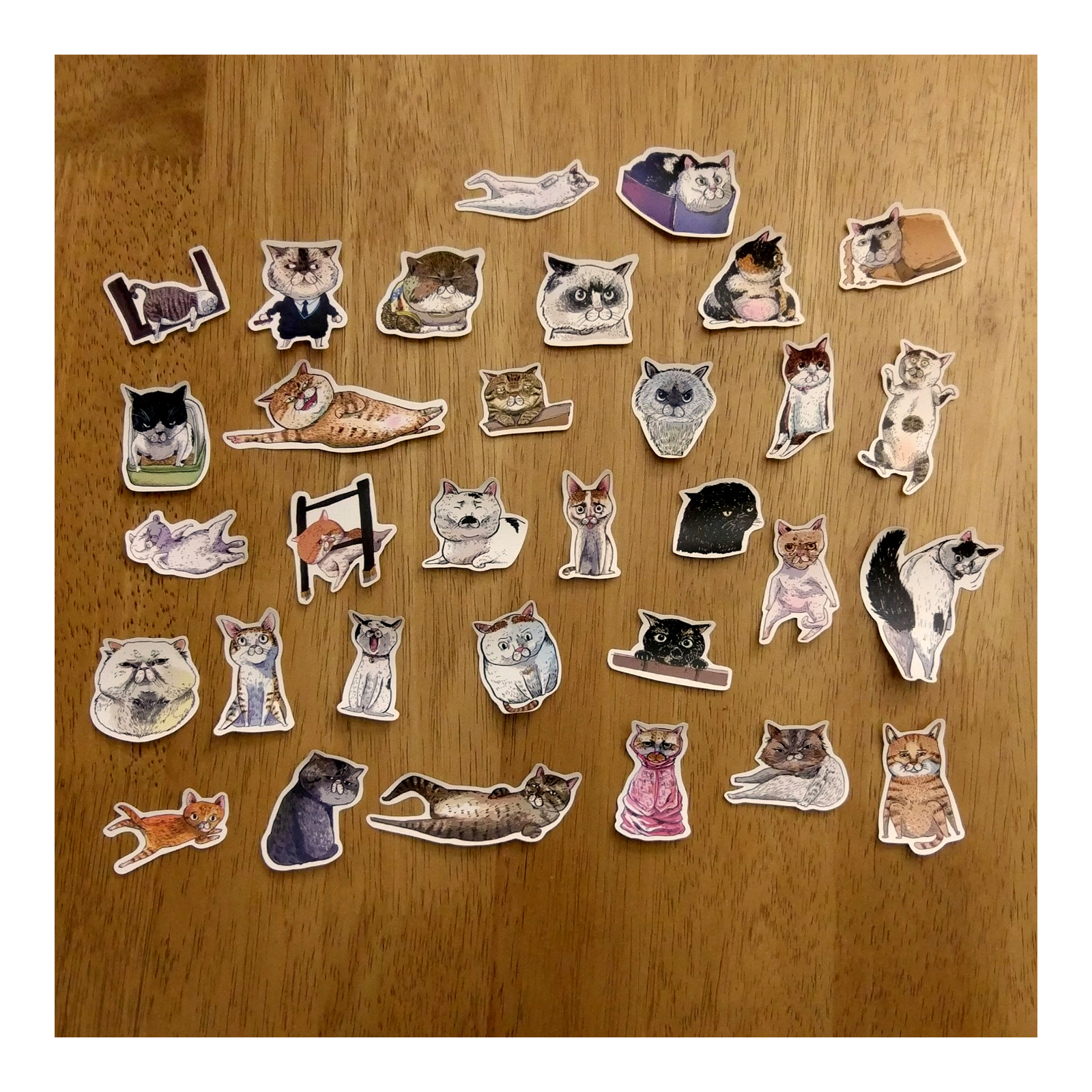 【ehcat貓室友】貓似顏貼紙鐵盒 02