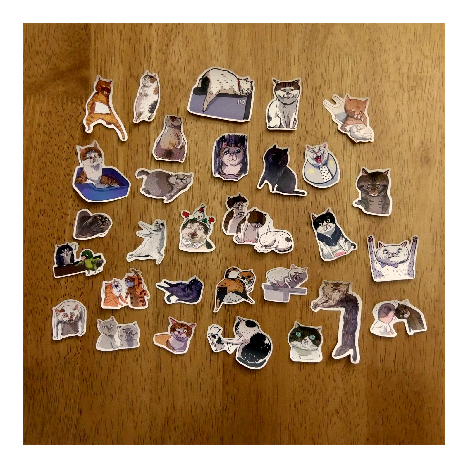 【ehcat貓室友】貓似顏貼紙鐵盒 03