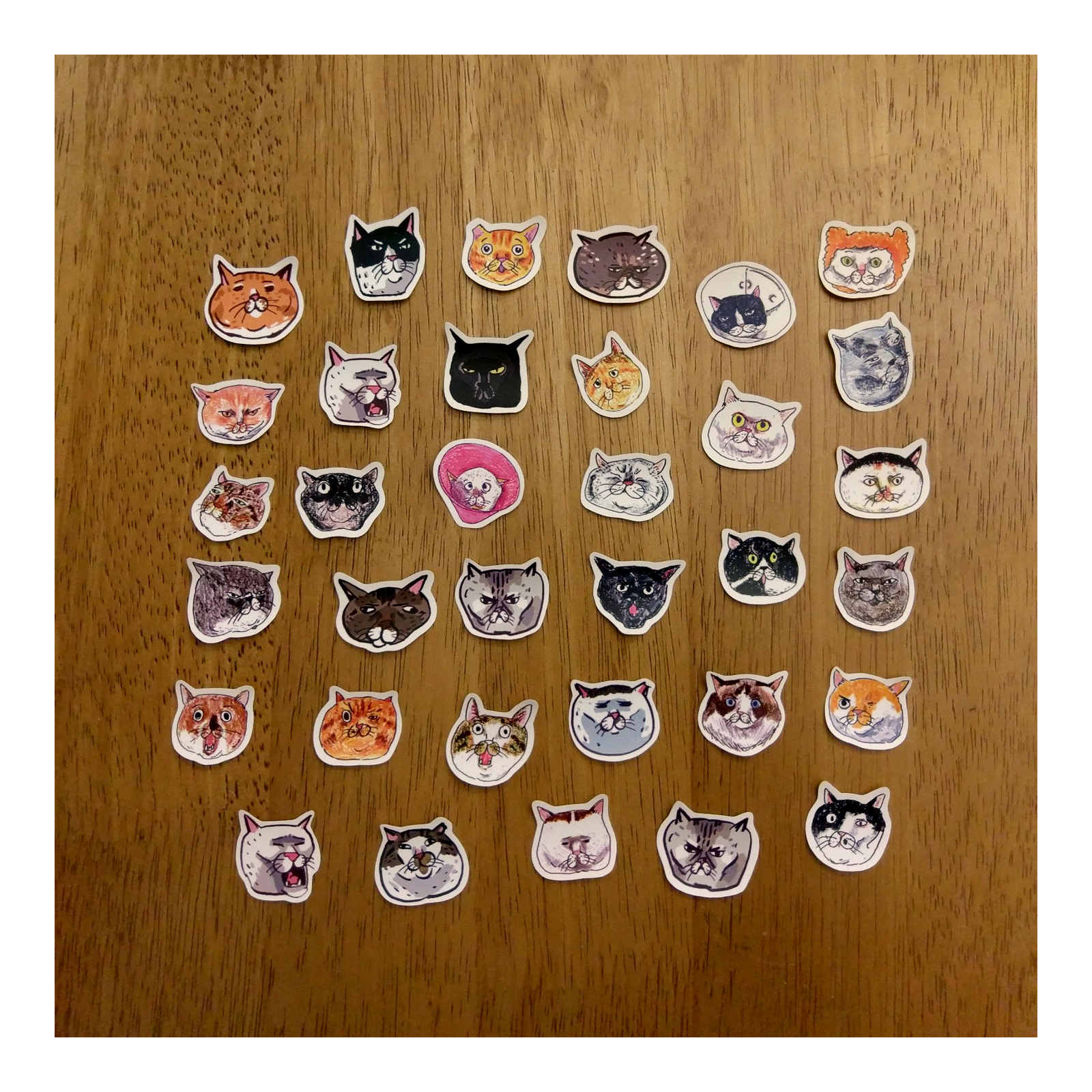 【ehcat貓室友】貓大頭貼紙包