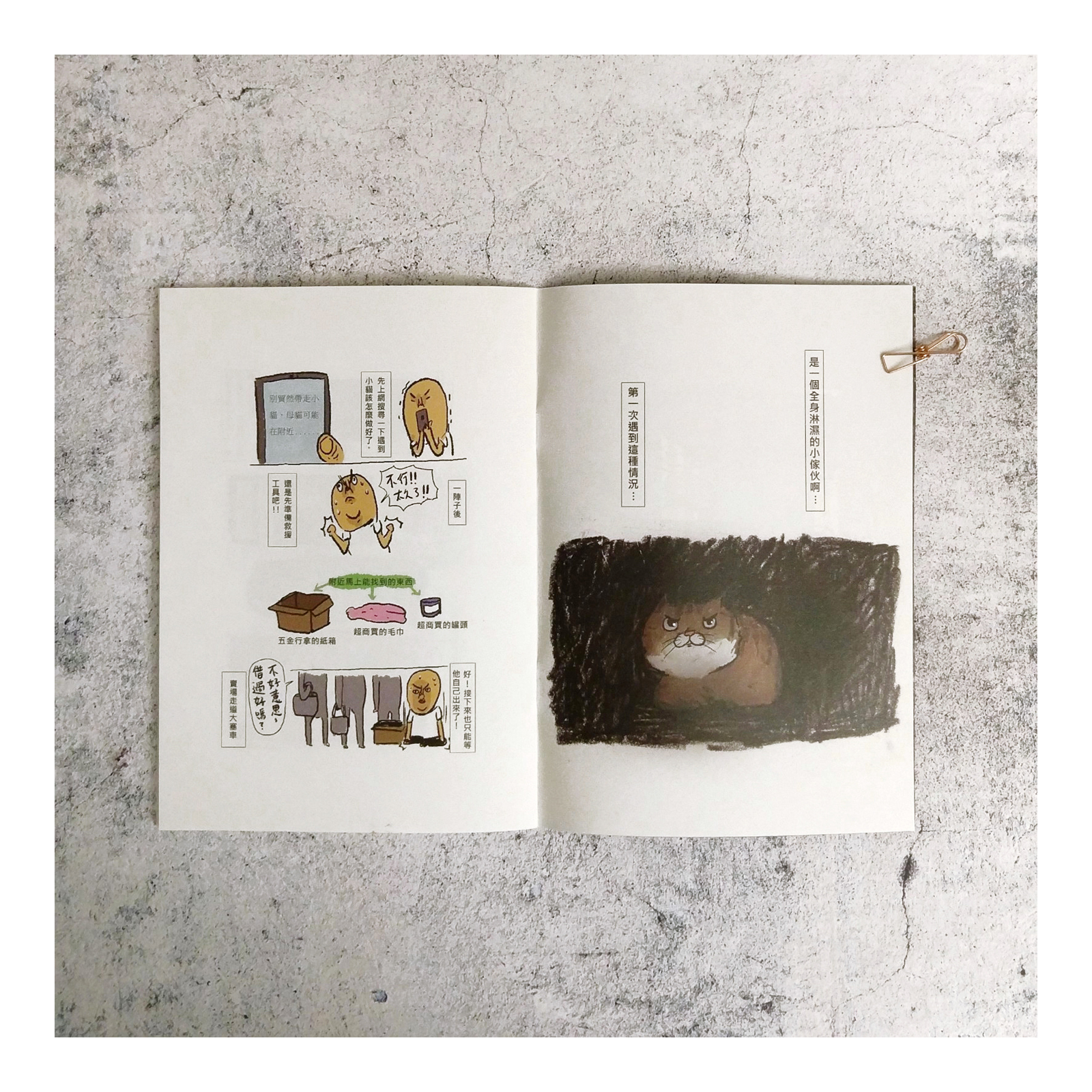 【ehcat貓室友】阿金 A KIM  ZINE