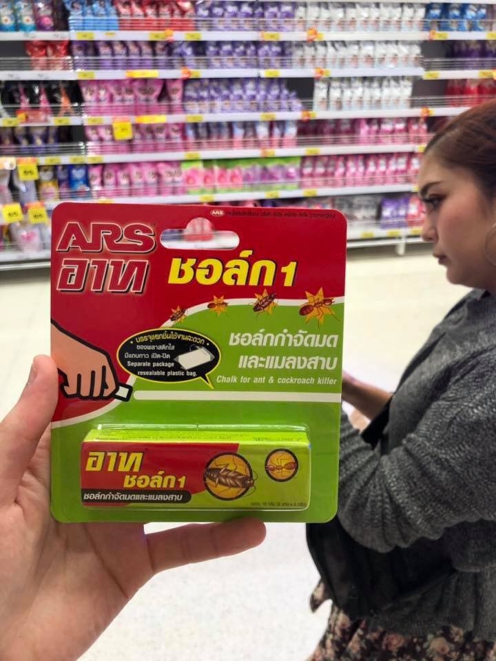 泰國 ARS小強粉筆 10G