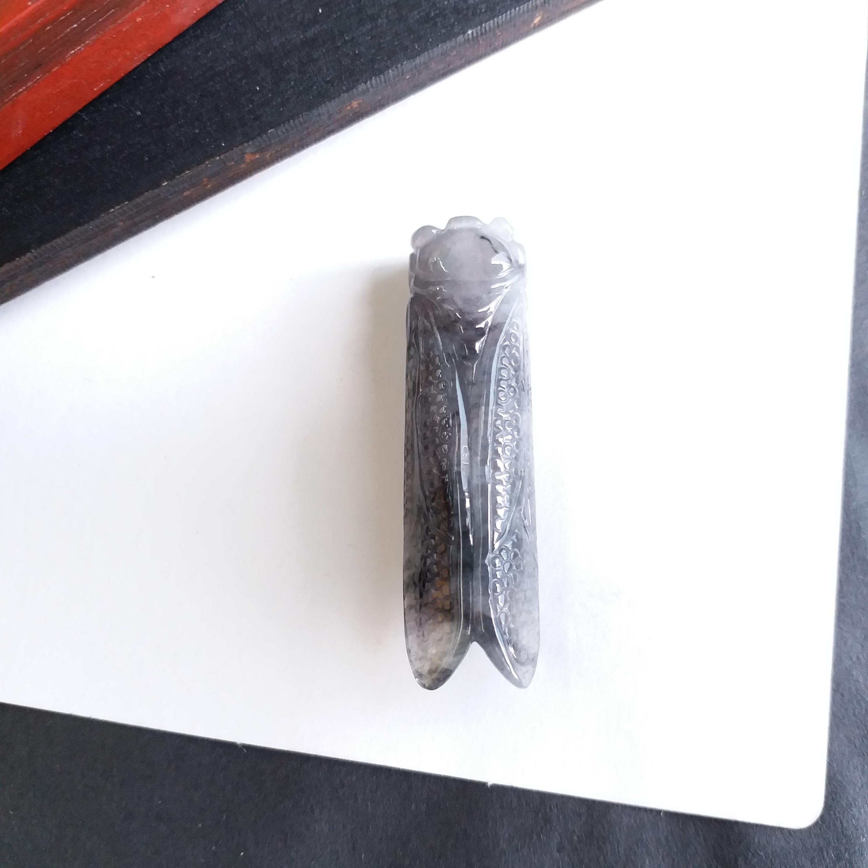 P1411390 翡翠一鳴驚人