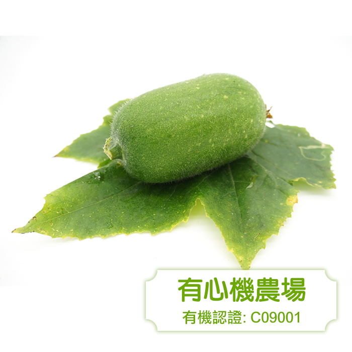 [Zen Farm] Organic Hairy Gourd 450g