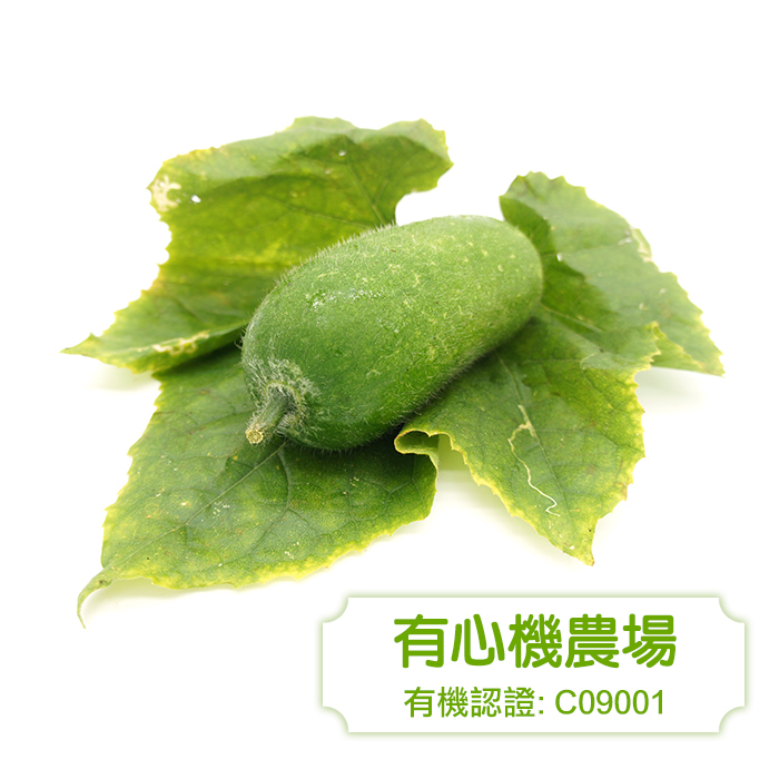 [Zen Farm] Organic Hairy Gourd 450g