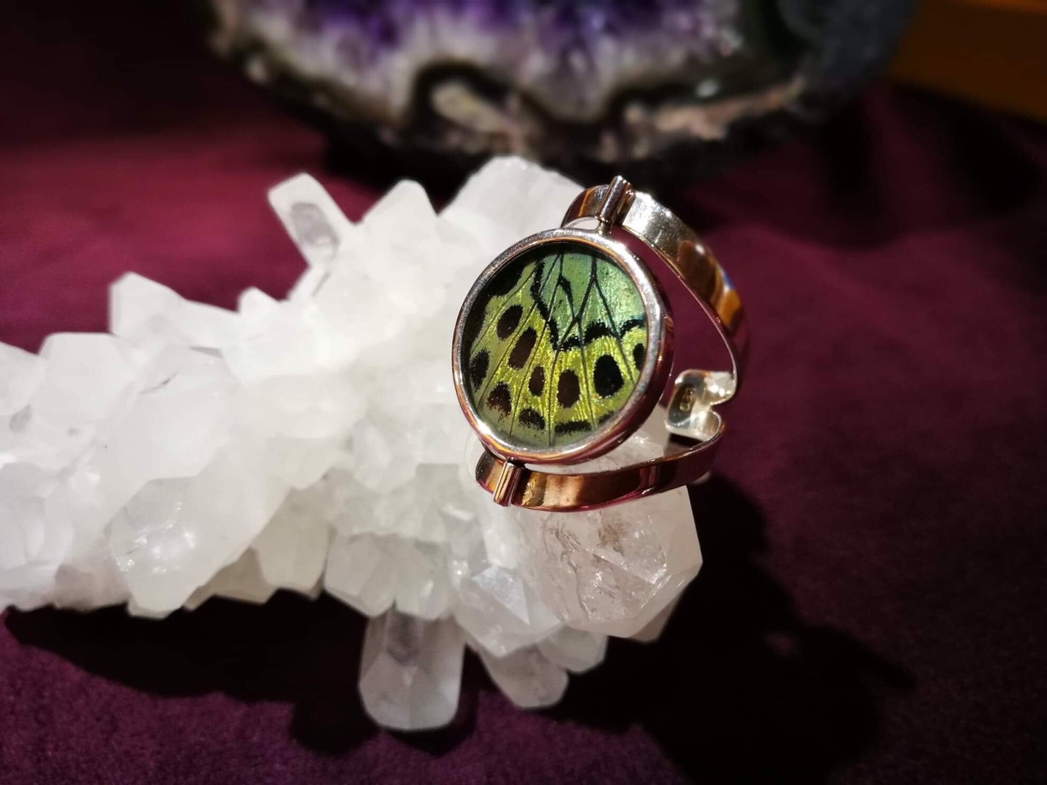 蝴蝶之翼戒指-圓（已售完）