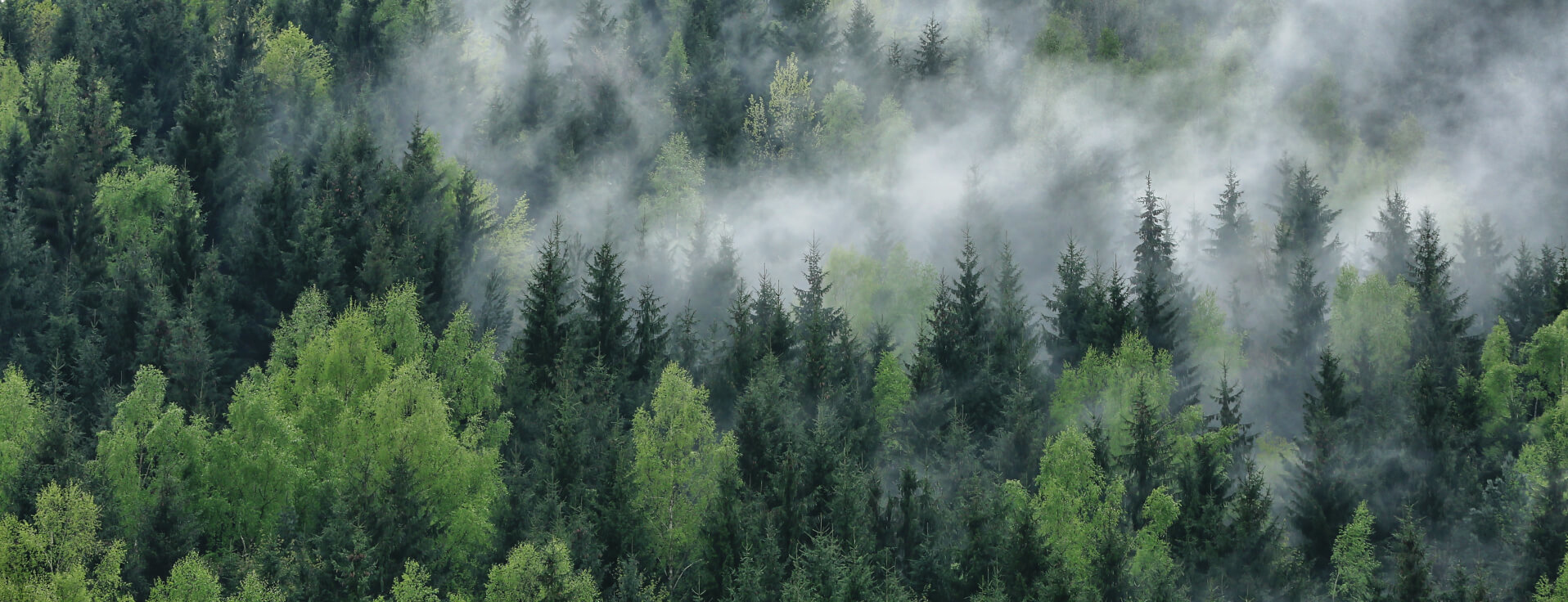 Join CHEGO Sports Socks Eco Plan to receive "no packaging discount" for each item!