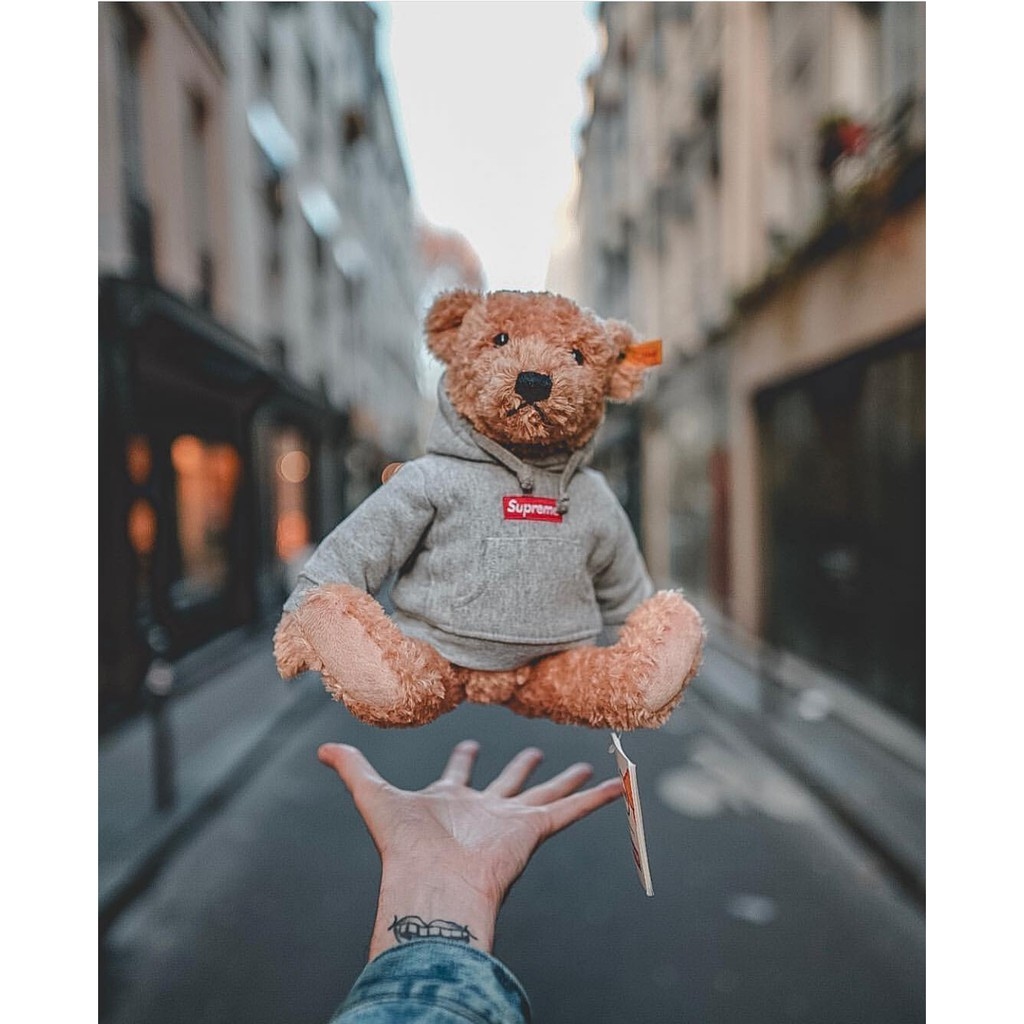 Stuff bear shops with supreme hoddie