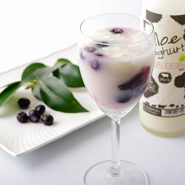 梅ヶ枝酒造 蘆薈果肉乳酪酒 500mL