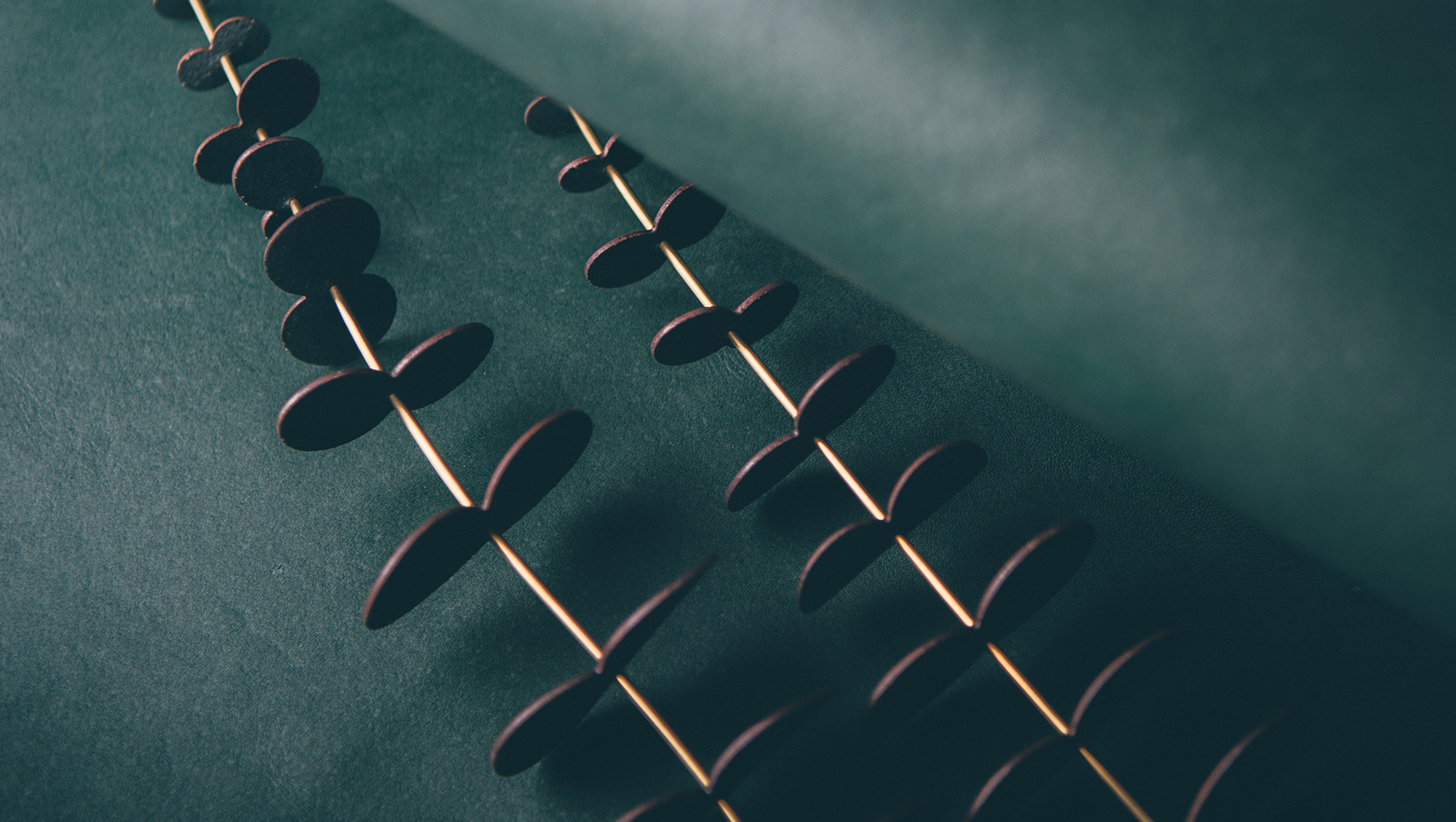 皮革質地葉片搭配黃銅枝