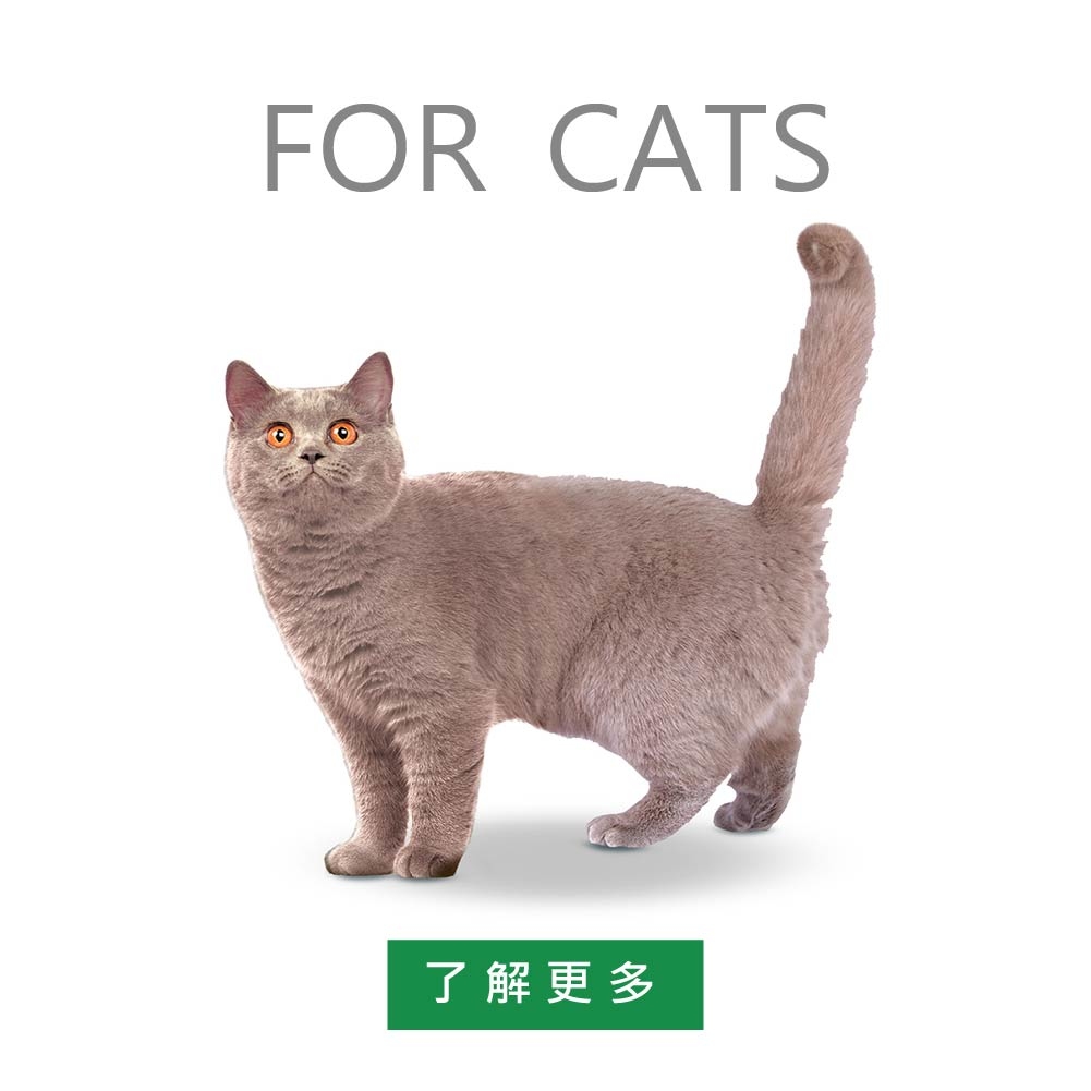 自然本色®貓飼料．全系列