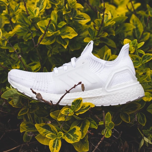 ub 19 triple white