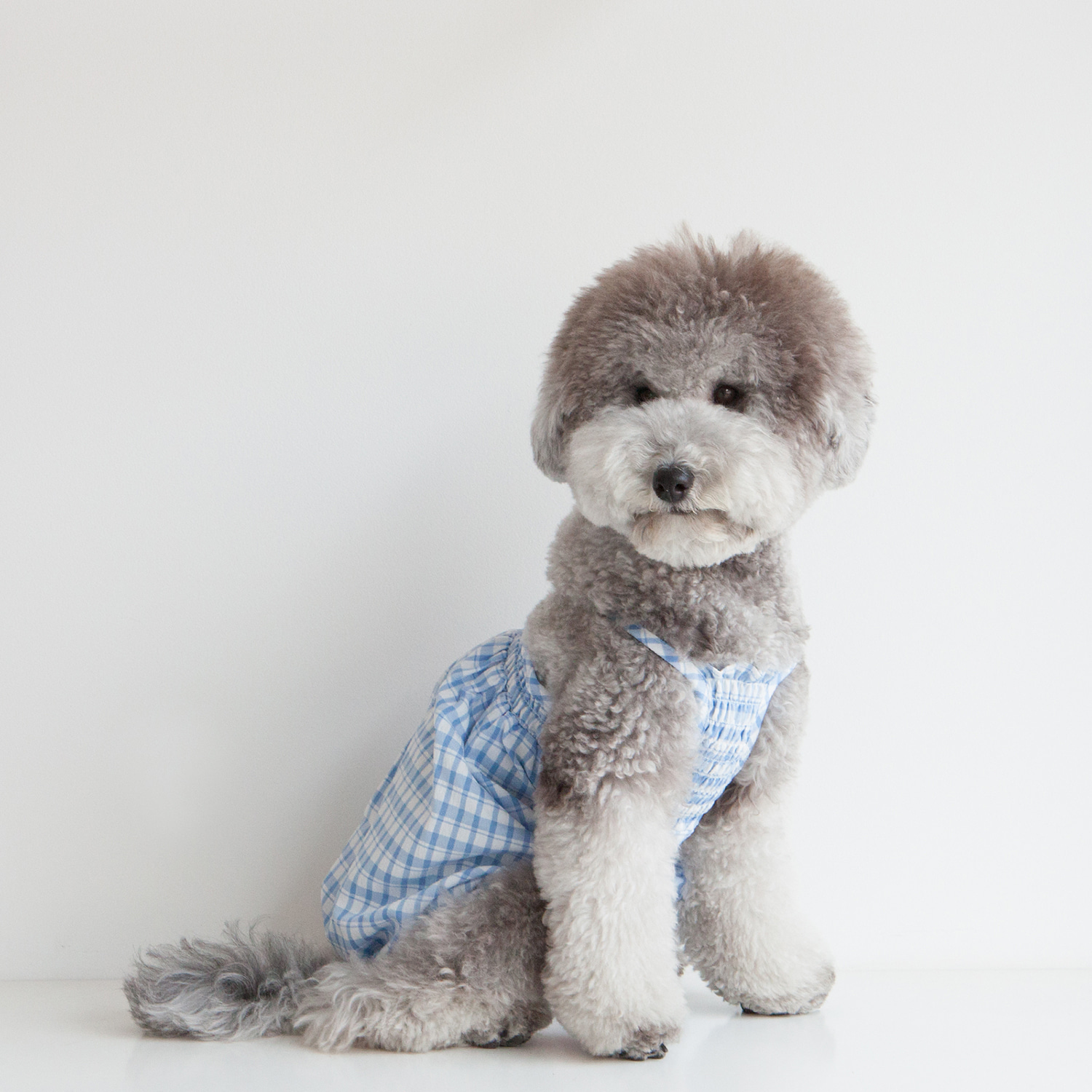 ★Dentist Appointment★ 泡泡紗格子燈籠褲 (藍)