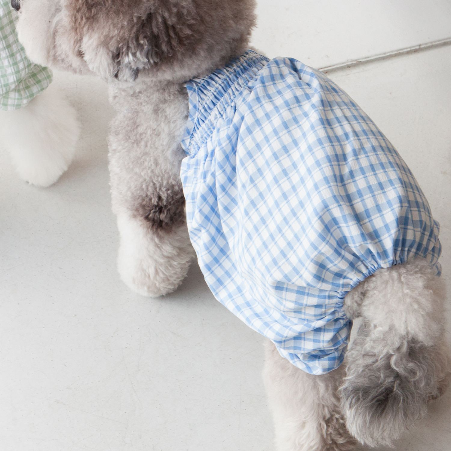 ★Dentist Appointment★ 泡泡紗格子燈籠褲 (藍)