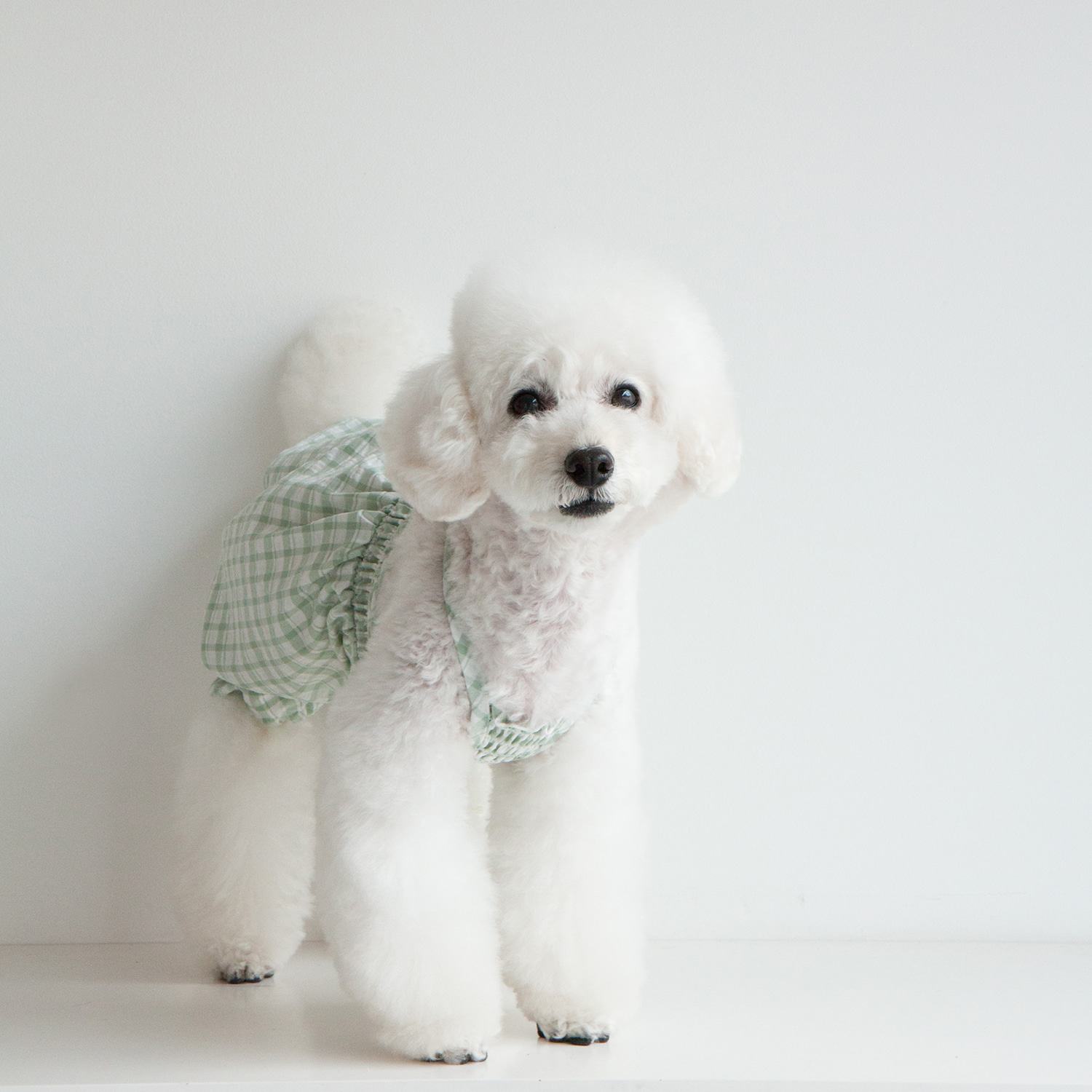 ★Dentist Appointment★ 泡泡紗格子燈籠褲 (綠)