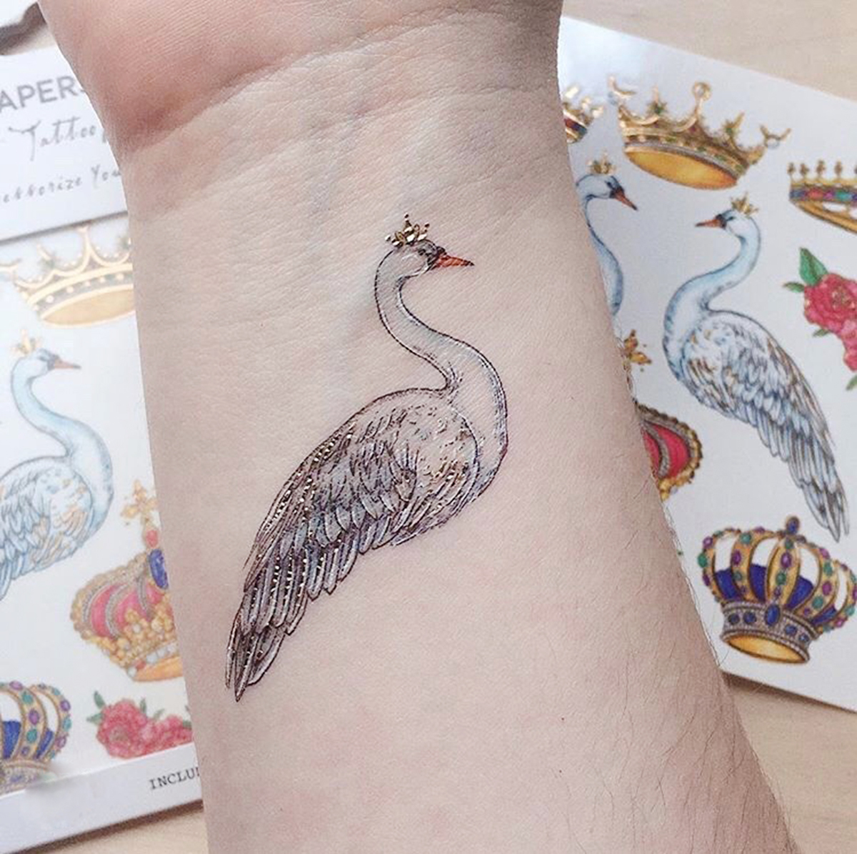 白天鵝 White swan