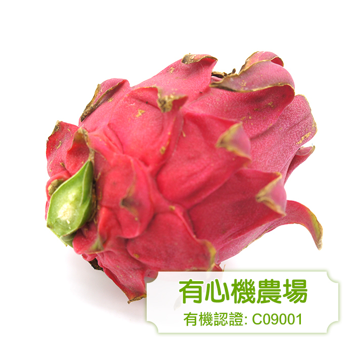 [Zen Farm] Organic Dragon Fruit (red) 1lb (453g)