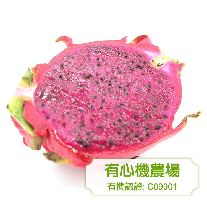[Zen Farm] Organic Dragon Fruit (red) 1lb (453g)