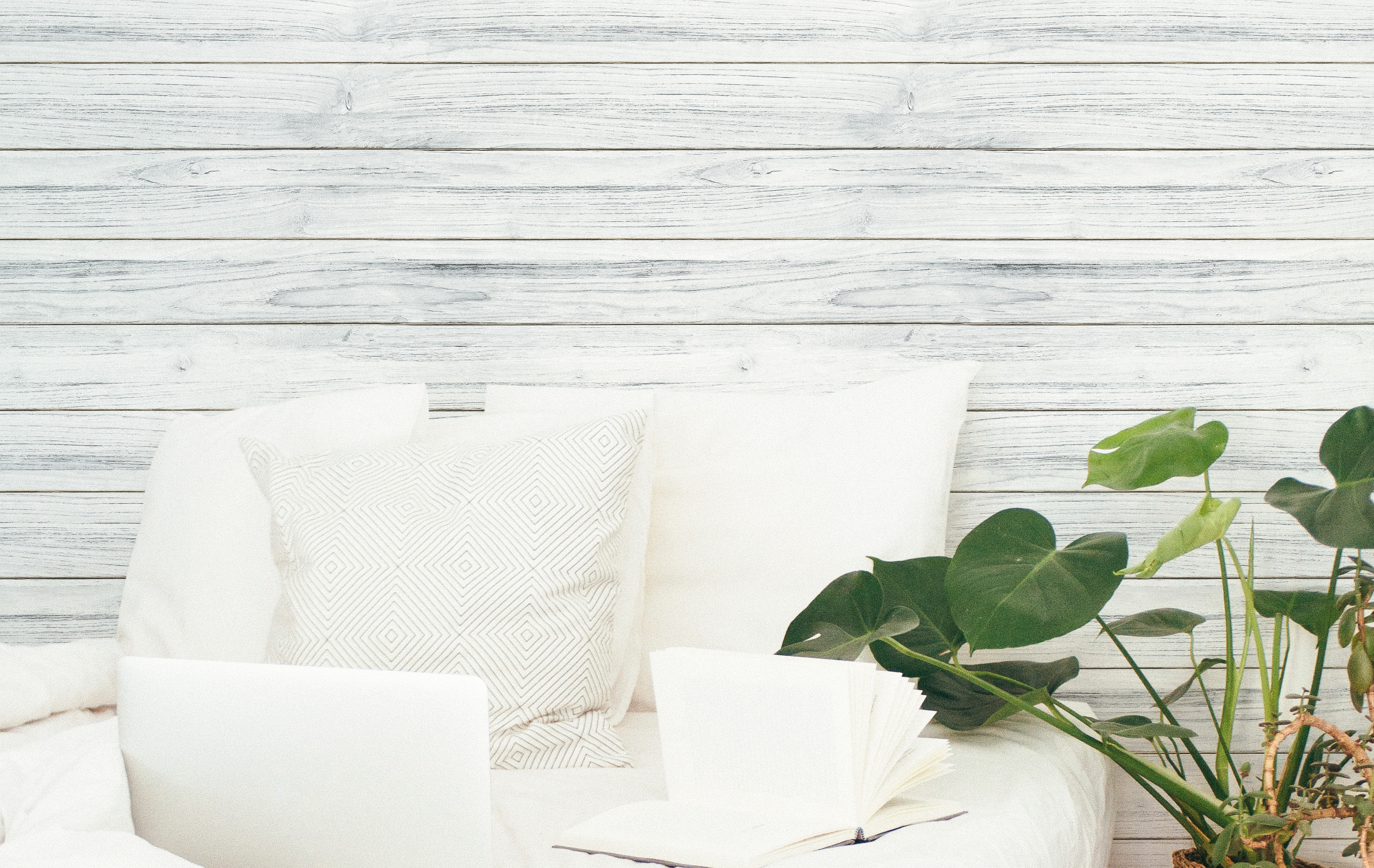 美牆貼貼//挪威白檜(5/10/20片裝)