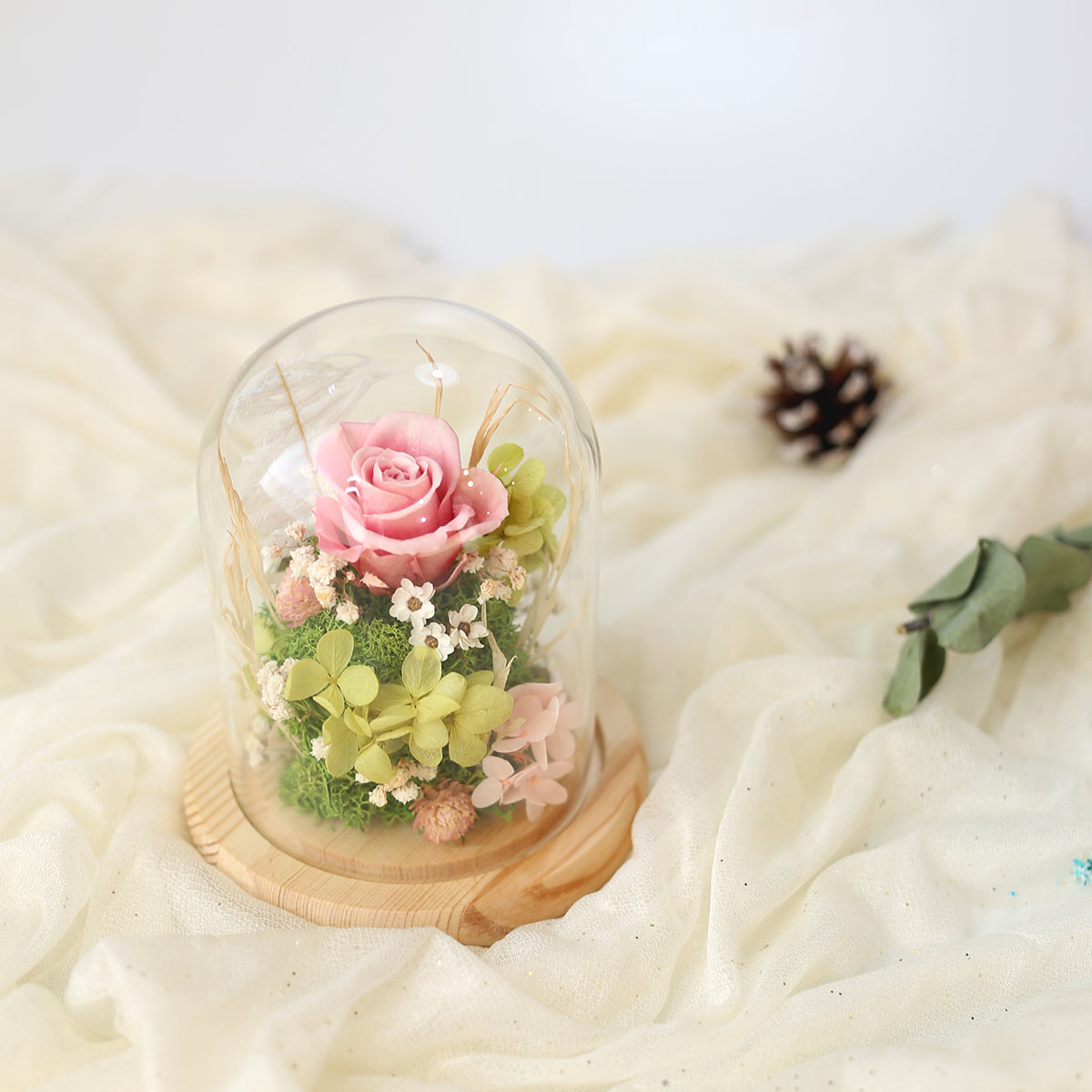S17｜永生花玻璃罩盅