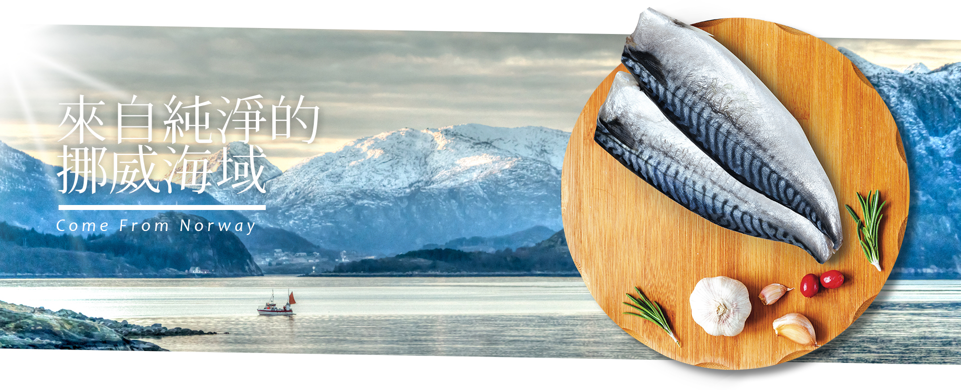 挪威鯖魚