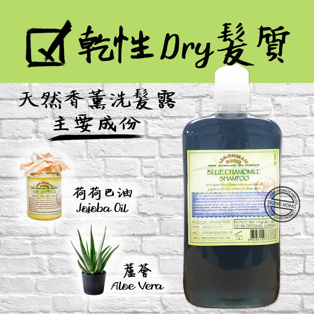 Lemongrass House - 天然香薰洗髮露 1公升
