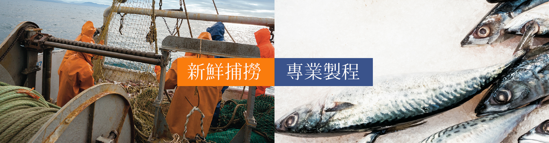 新鮮捕撈、專業製程