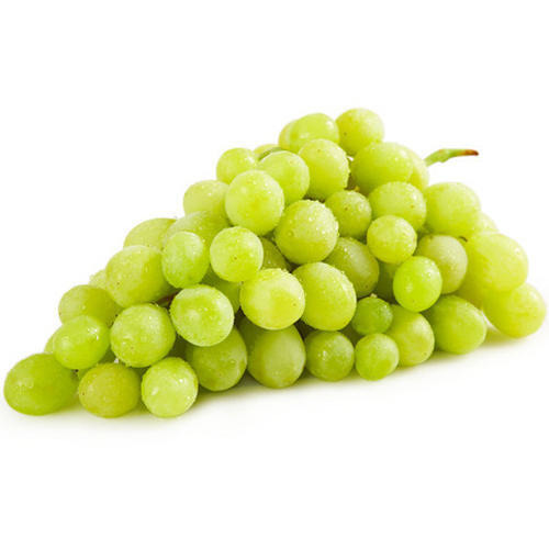 Italian Seedless White Grapes