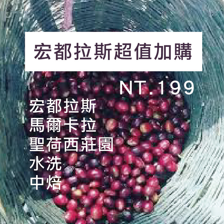 宏都拉斯 馬爾卡拉 聖荷西 水洗