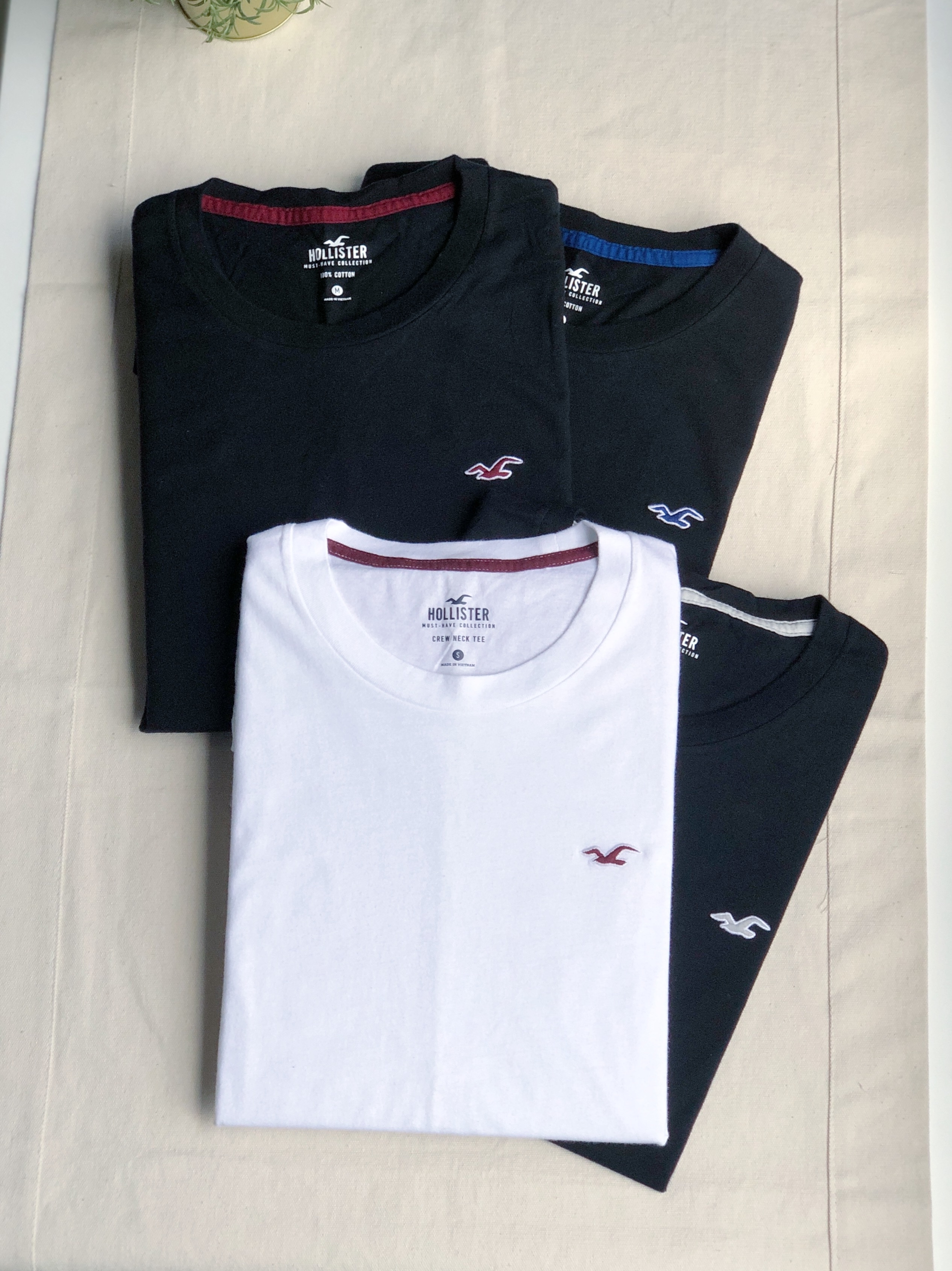 hollister logo tee