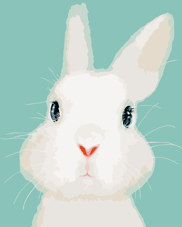 【66504】呆萌兔兔