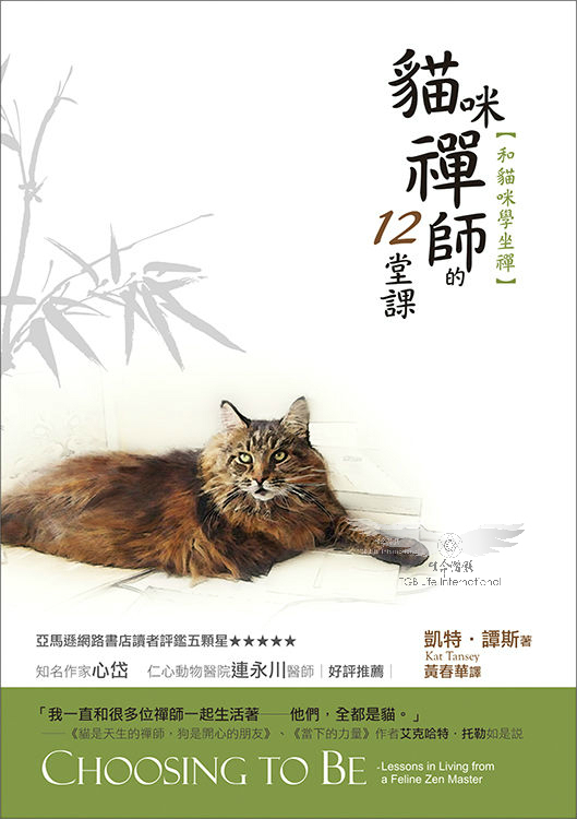 貓咪禪師的12堂課 ─ 和貓咪學坐禪