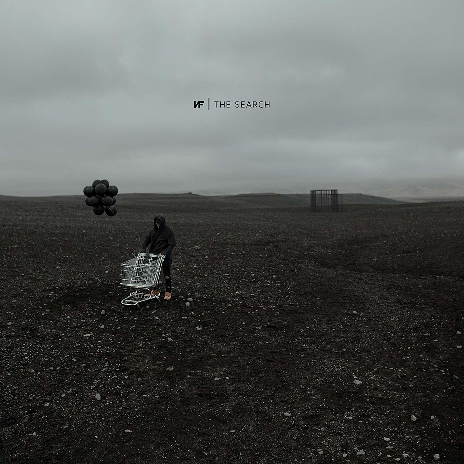 NF 美國饒舌歌手 The Search (2019) 歷年CD專輯 / 限量黑膠 / PERCEPTION (2017) / Therapy Session (2016) / Mansion (2015)
