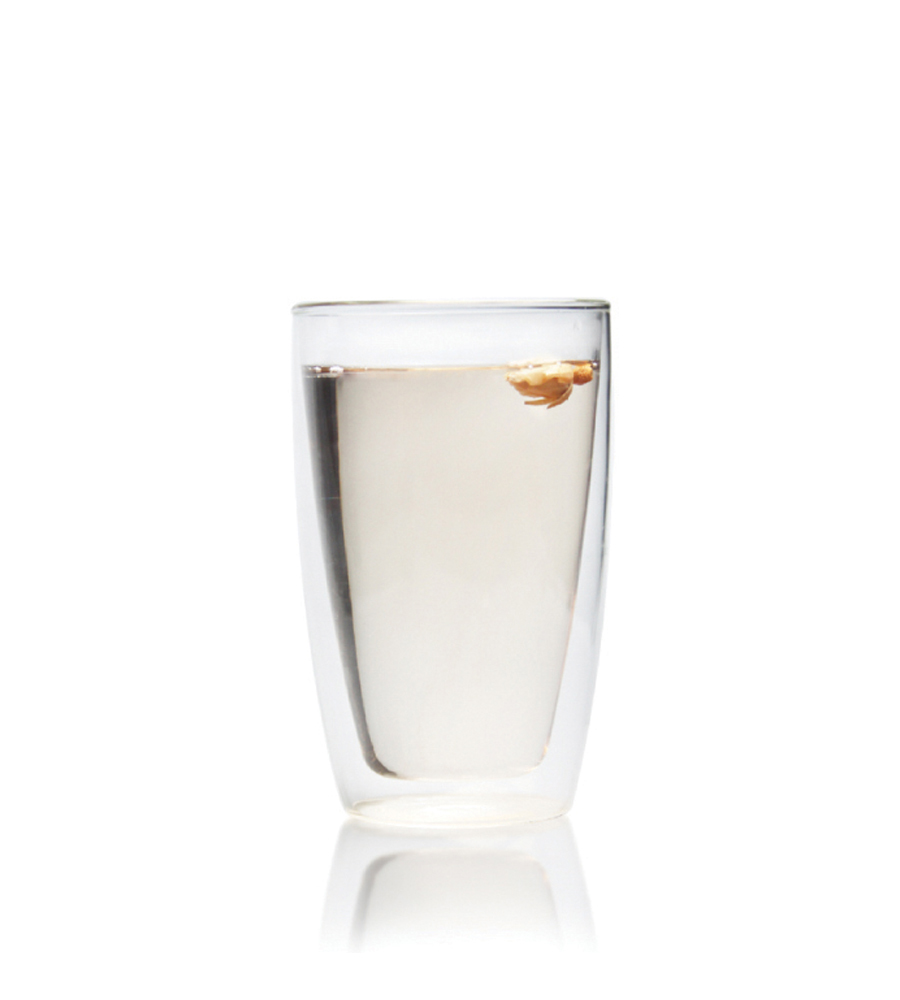 奇高 耐熱綠茶雙層杯/1入