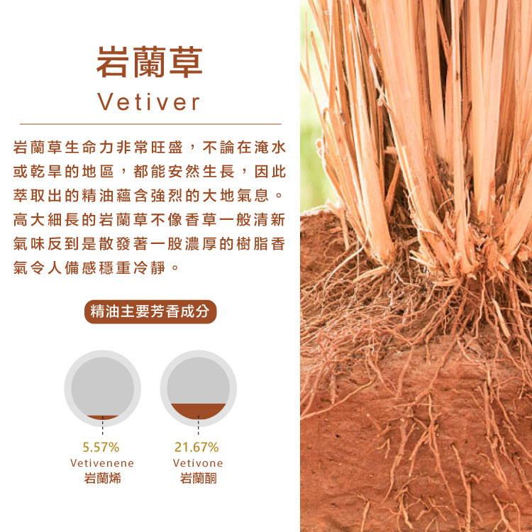 岩蘭草精油 Pchome 24h購物