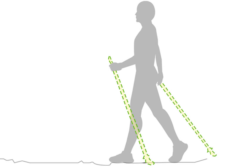 健行健走用品、登山裝備｜使用健走杖、登山杖