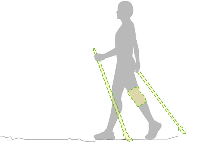 健行健走用品、登山裝備｜使用健走杖、登山杖搭配運動護膝