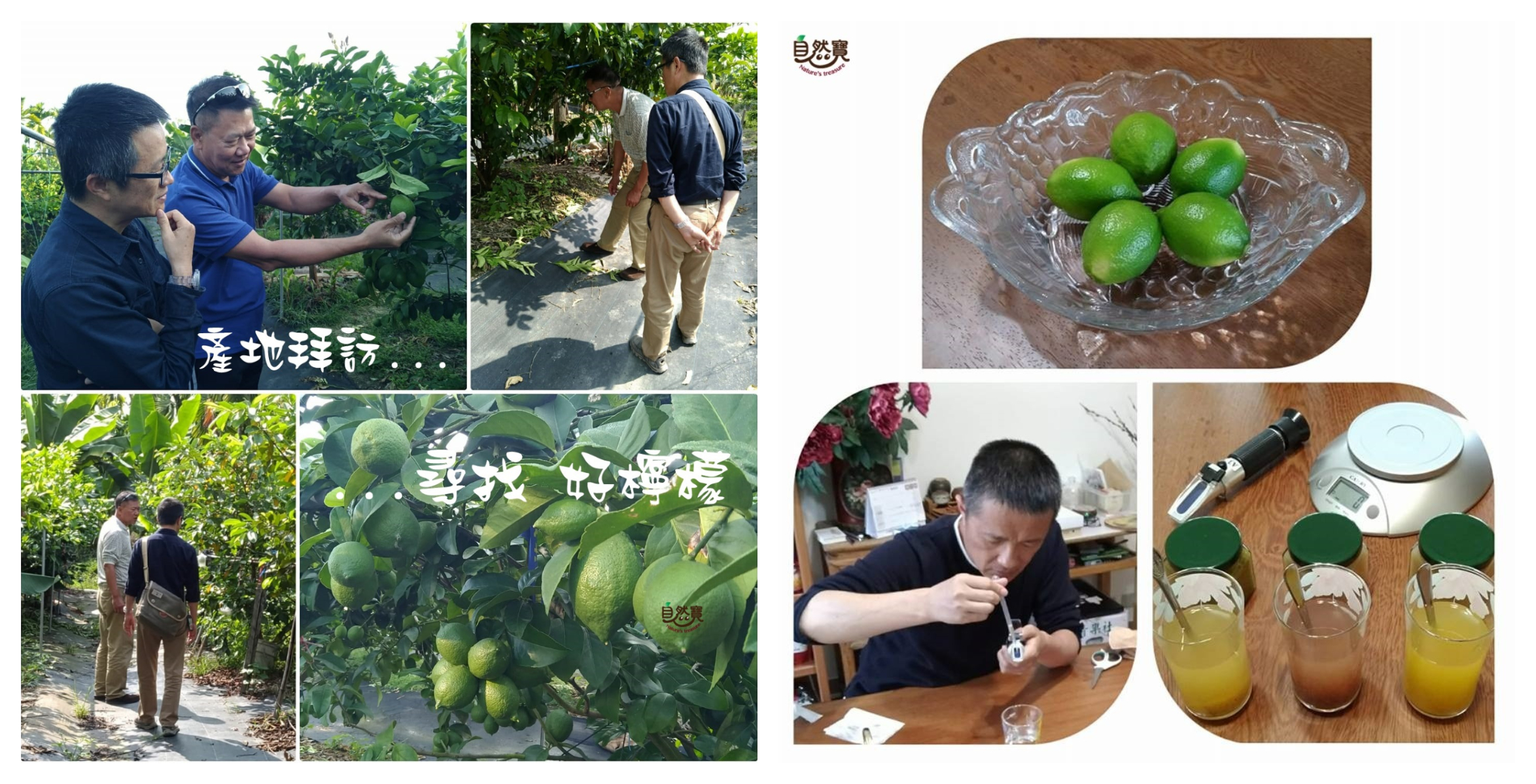 從產地到研發，給你最好最安心的食品