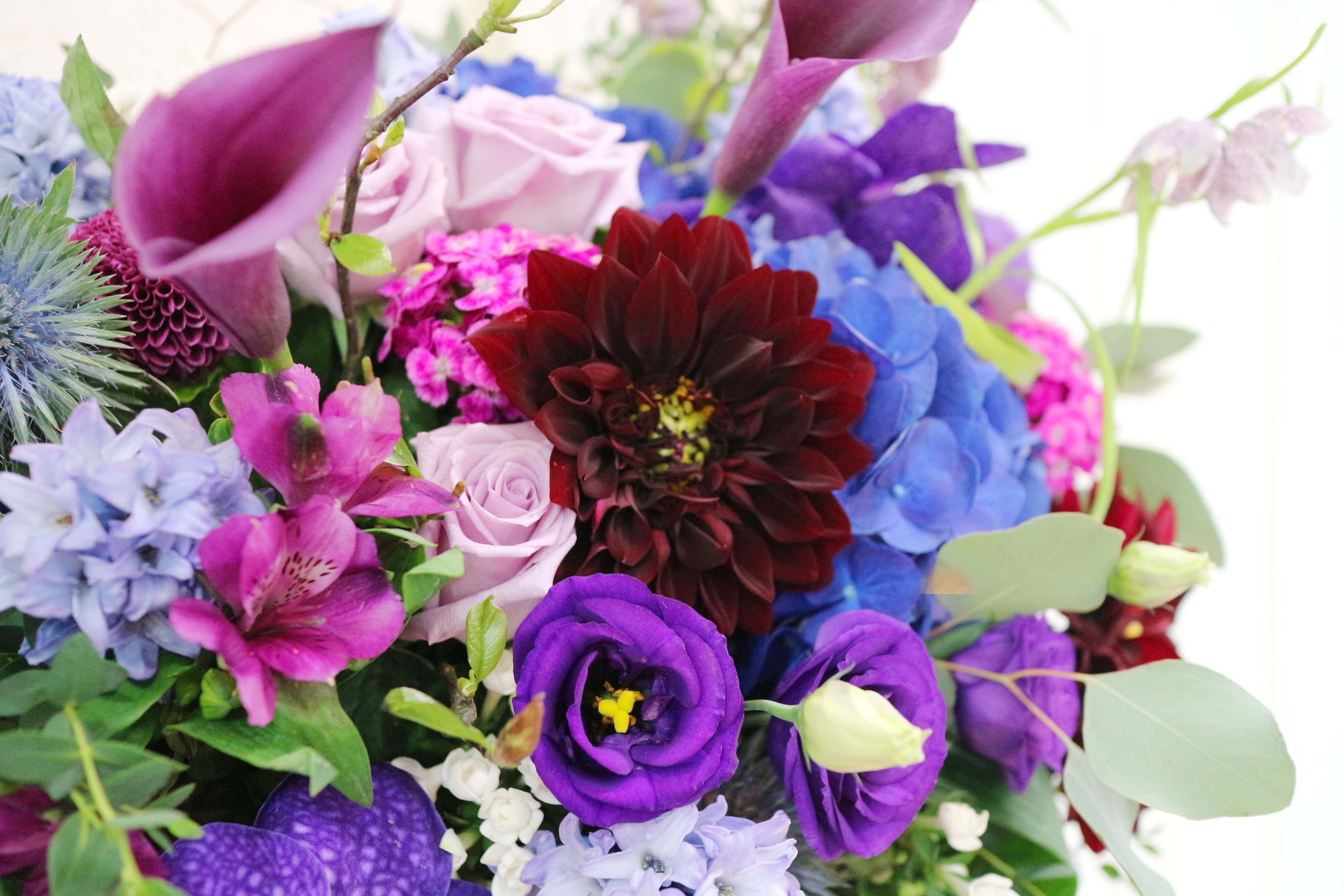 唯美主義 AF190060