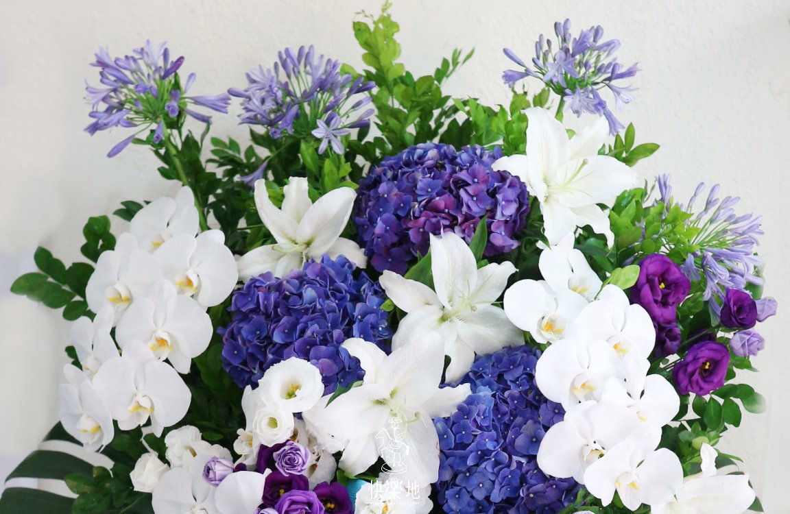 飛上青天 I 高架花籃 SF190304